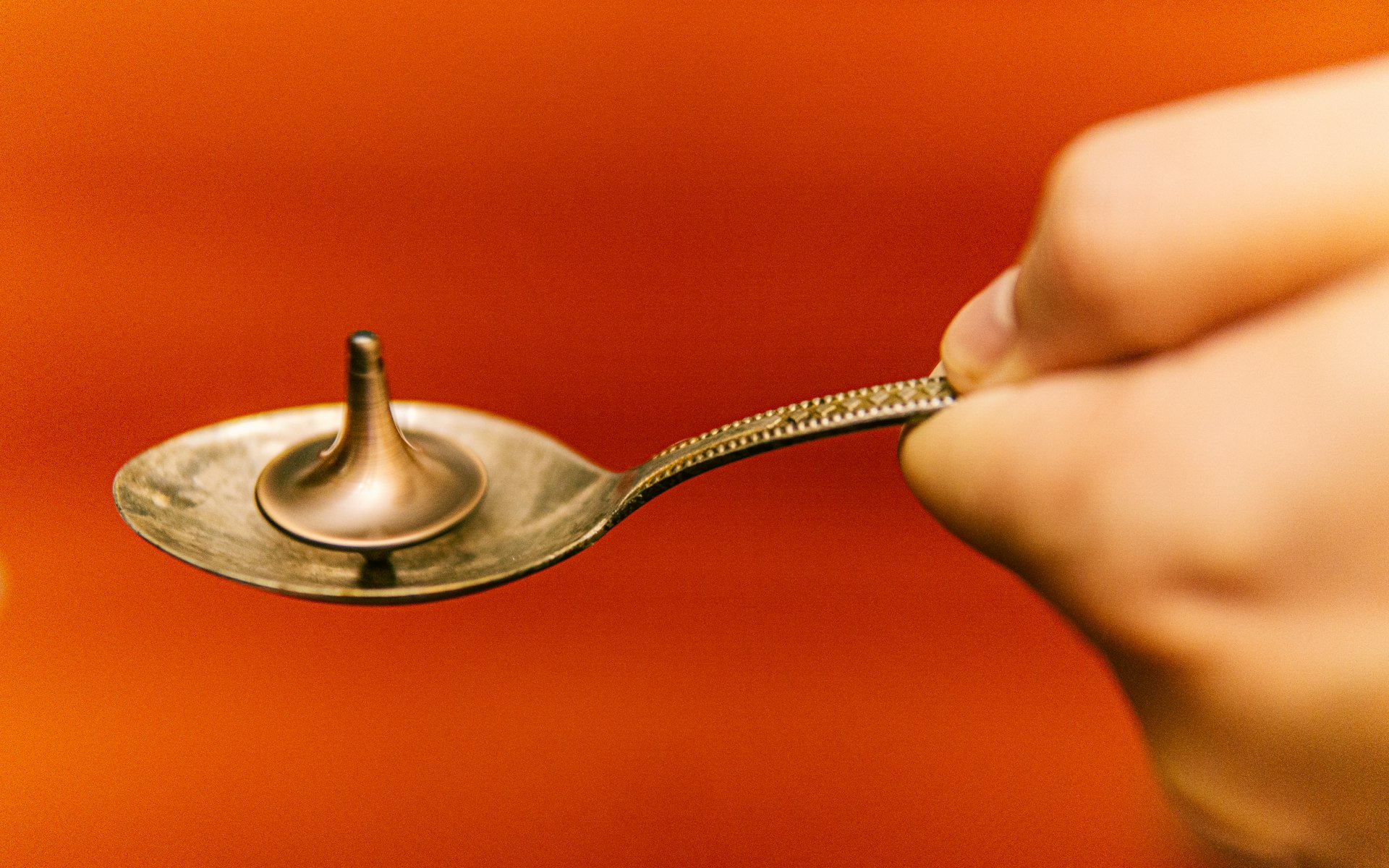 kitchen gadgets in amazon