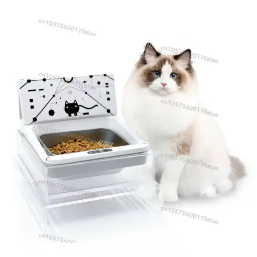  Best Automatic Cat Feeder