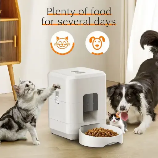  Best Automatic Cat Feeder